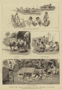 A világ körül vitorlázás Ceylonban, X, Ceylon